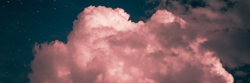 Brenda Castro banner