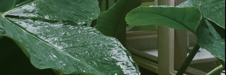 justine_ware's profile banner image