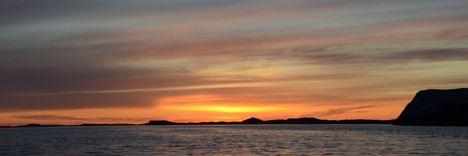 Are Opstad Sæbø banner