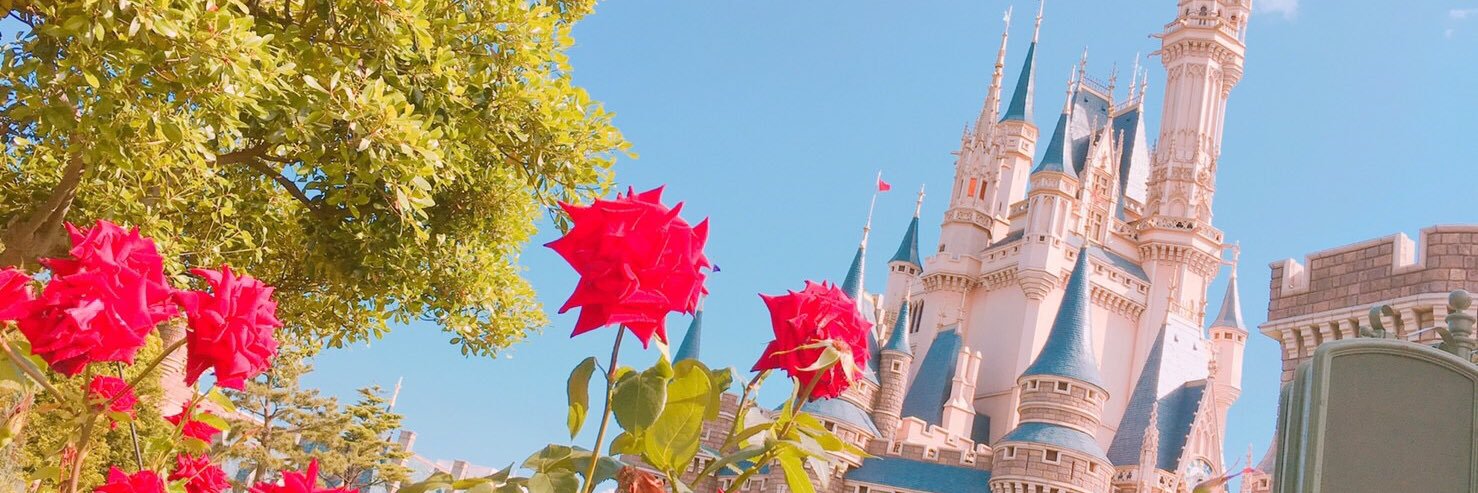 yumpig's profile banner image