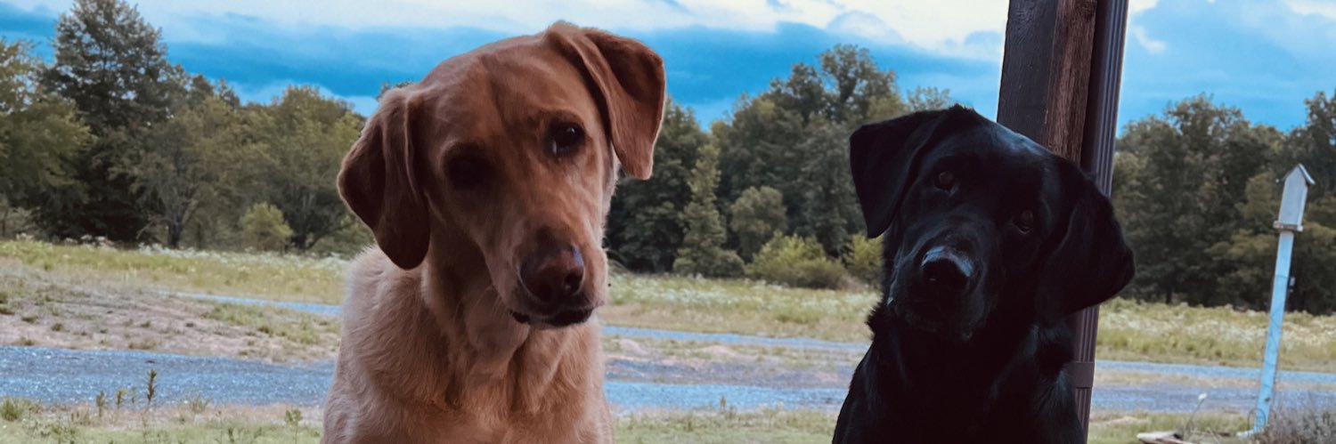 Chevyann__'s profile banner image