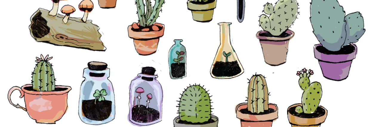 HotPlantsChance's profile banner image