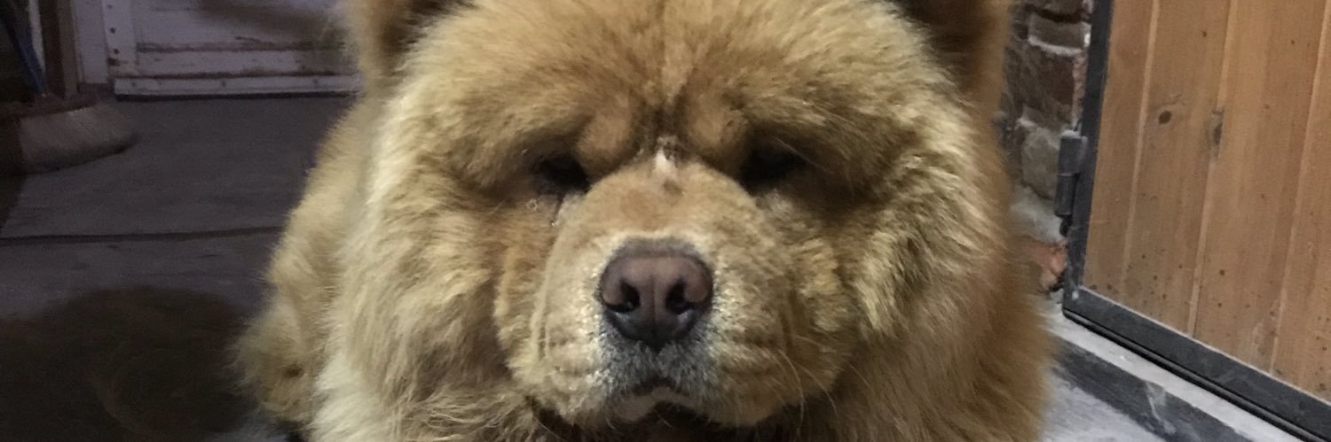 LaaiiV's profile banner image