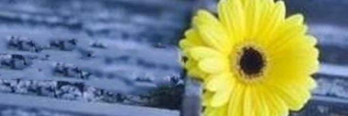 ferozagani786's profile banner image