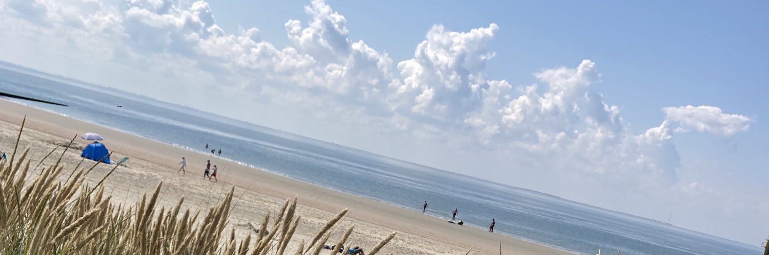 Svenja Friess banner