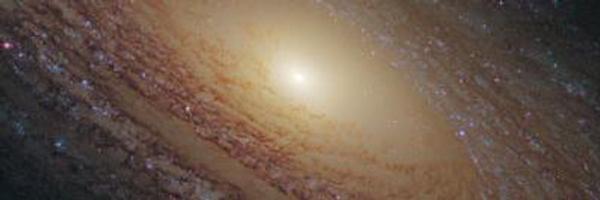 hottaqu Profile Banner