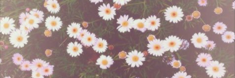 abbbeyx's profile banner image