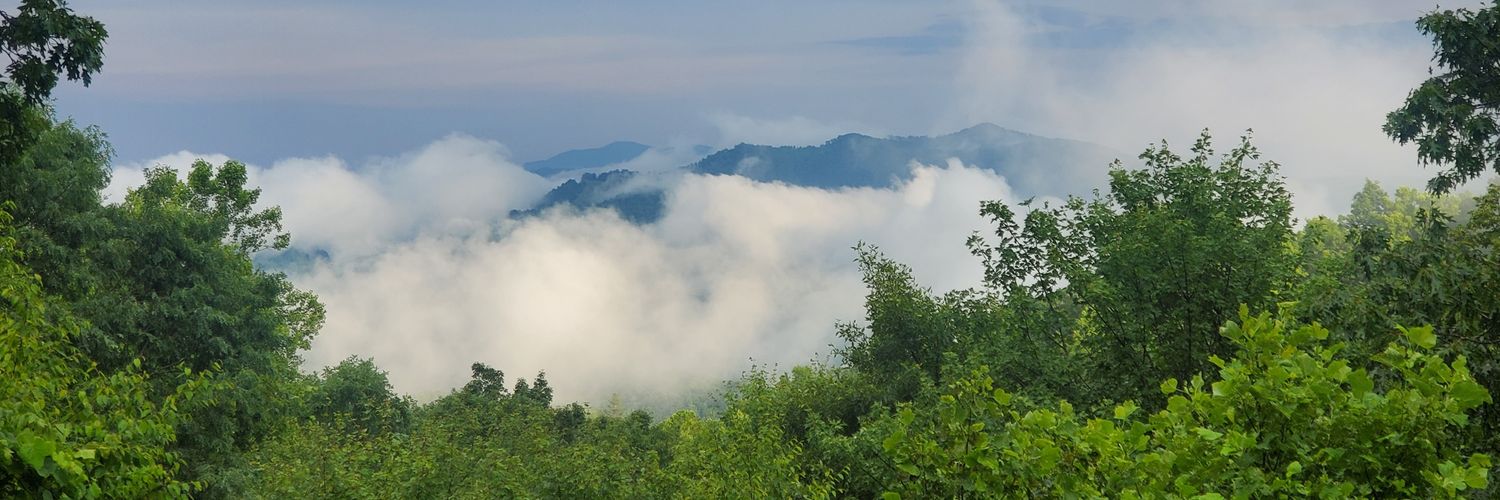 The Byrdman Cometh banner