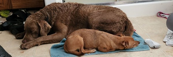 RickBettger Profile Banner