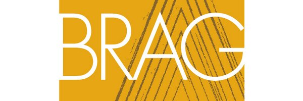 BRAG_FIT Profile Banner