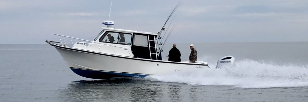 iFishMD's profile banner image