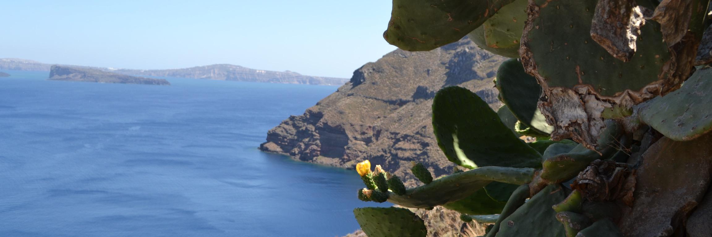 Tom Augspurger banner