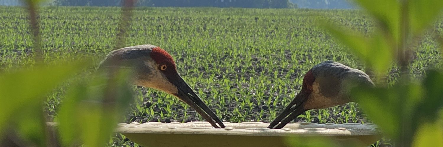 fabbkatyy's profile banner image