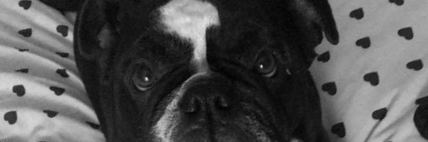 JamieBarr1888 Profile Banner