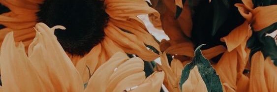 slim_shadyyyyy's profile banner image