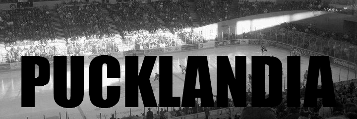 Pucklandia's profile banner image