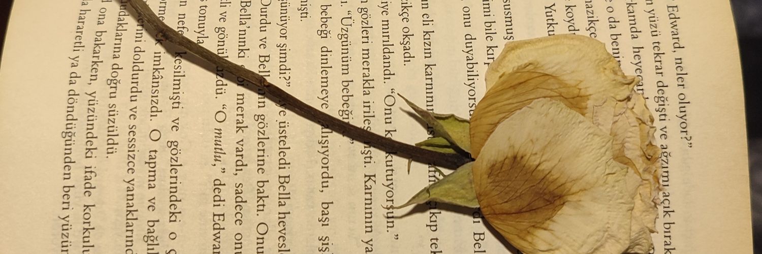 didemipekk's profile banner image
