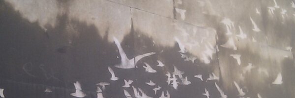 abilay Profile Banner