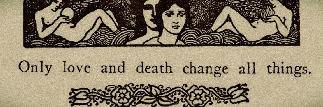 🔻luna🦇; wwdits missing hours :( banner