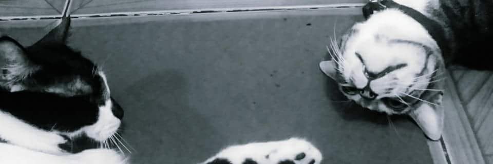 ghatheone's profile banner image