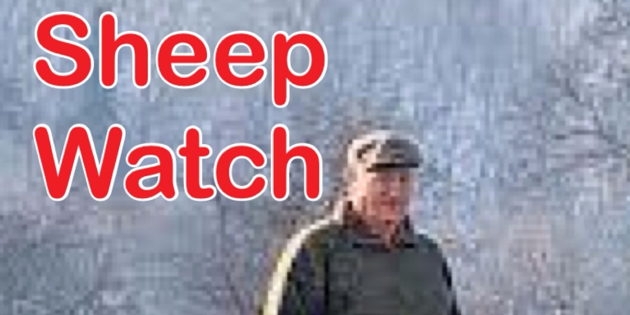 Sheep Watch banner