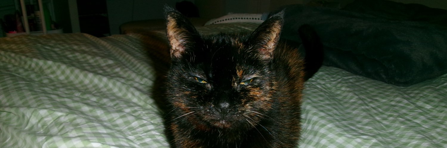 moljtbee's profile banner image
