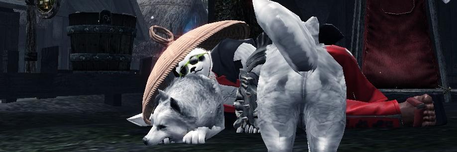 AKuresaki's profile banner image