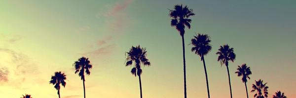 snapkwy's profile banner image