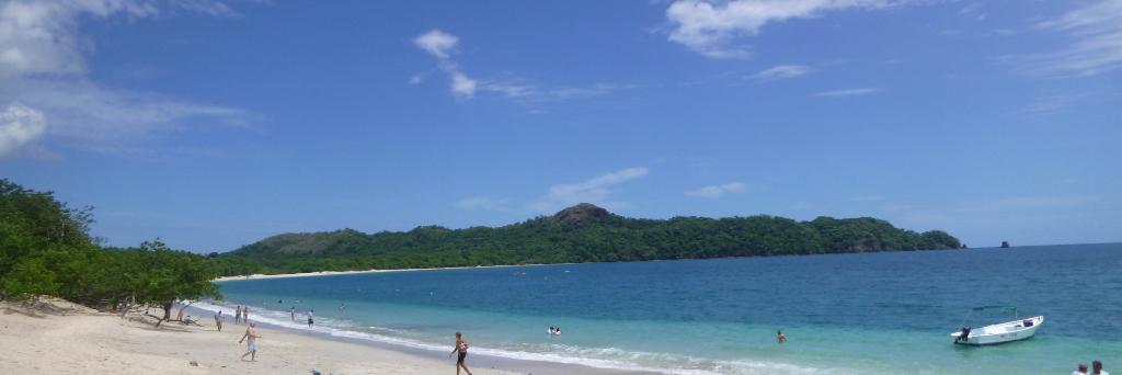 Dr. ₳₿Ξ MD 🥼🌿 banner