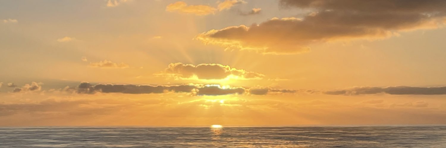 lifeasLex_'s profile banner image