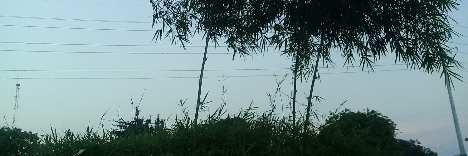 Ull_Dd's profile banner image