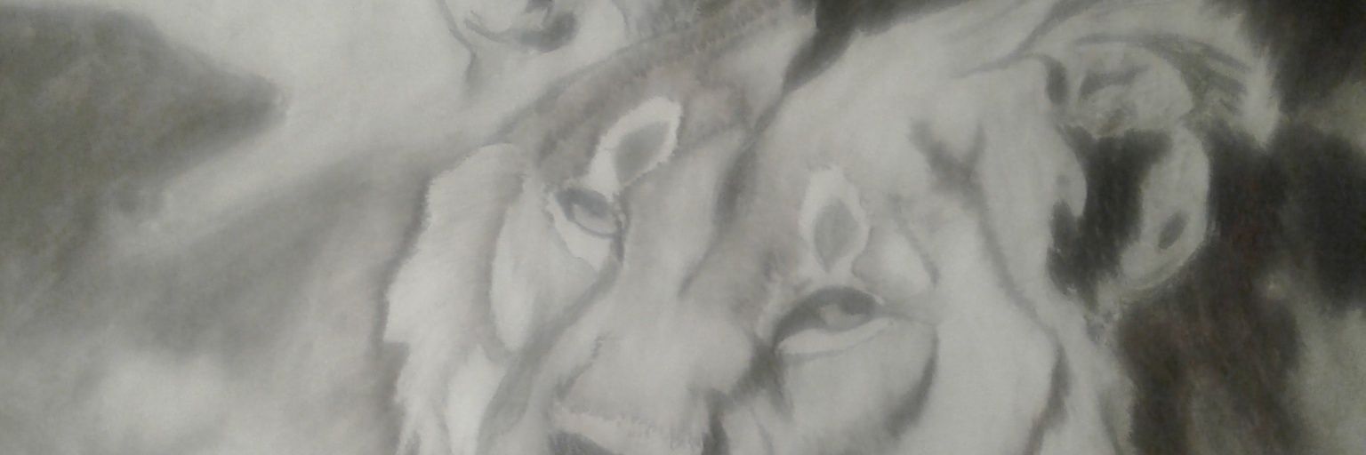 ctbnex's profile banner image