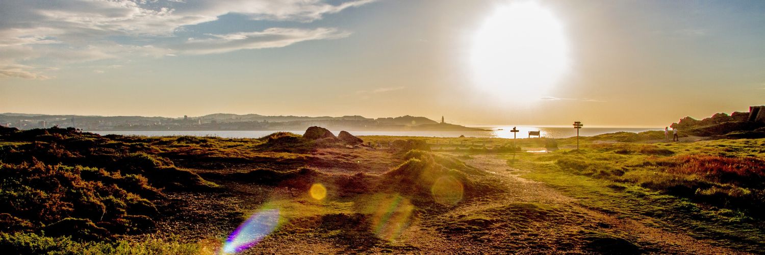 AntVigo's profile banner image