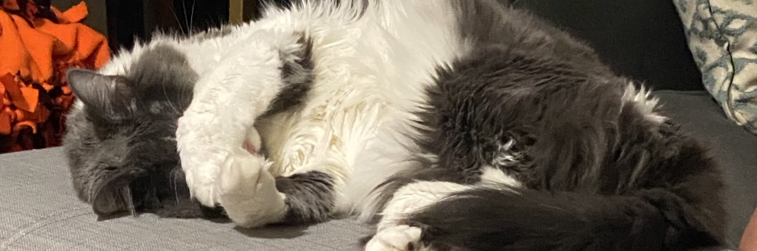 mattyyy_light's profile banner image