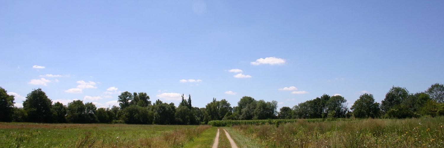 mw_uk's profile banner image