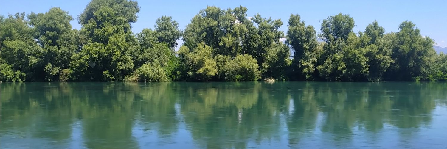 Ardiana Shala banner