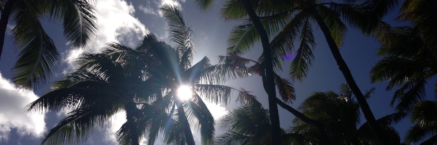 Amanda Chandler banner