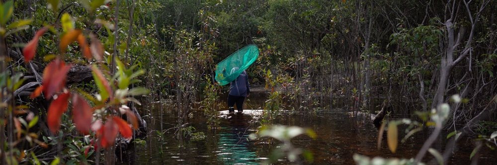Fabian Federl banner