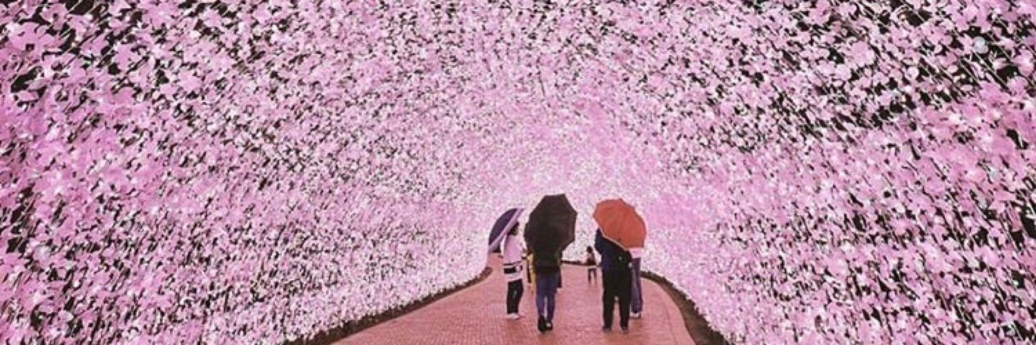 Some_ones's profile banner image