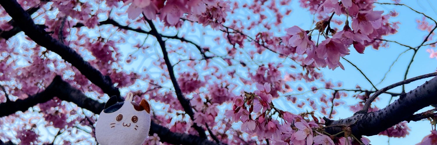 love_7k's profile banner image