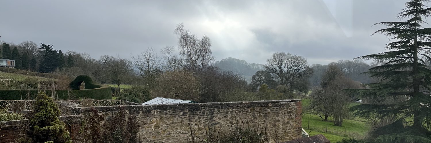 maritza paredes banner