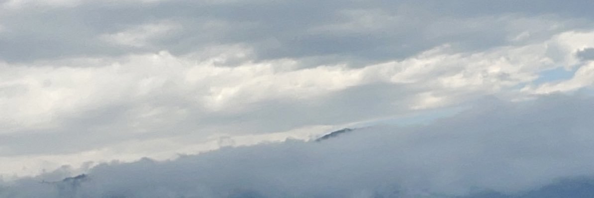 gaganthebird's profile banner image