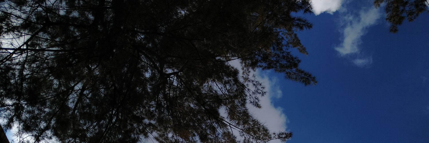 Laura  Moncaleano banner