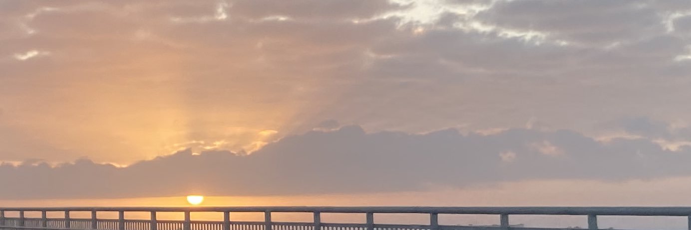 marley_hicks's profile banner image