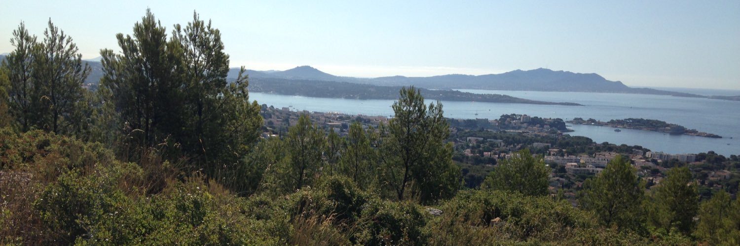 Barbara 🍎📚✏️ banner