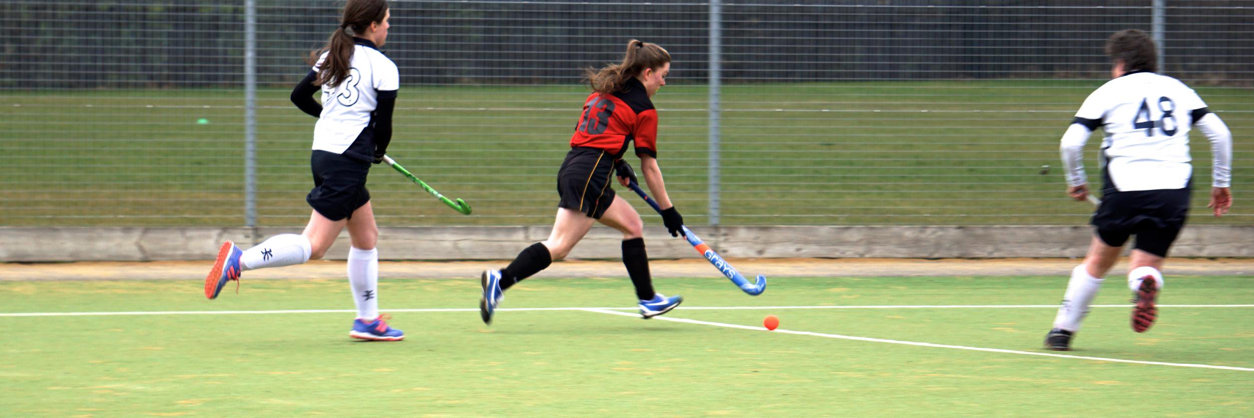 Streetly Hockey Club banner