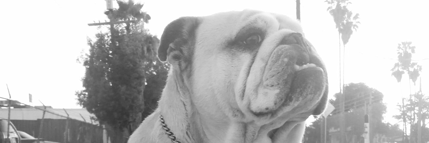 Average_Joe_88's profile banner image
