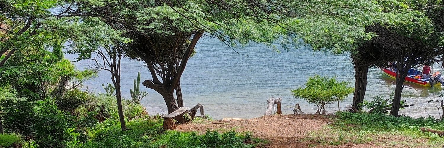 Vanessa Alessandra banner