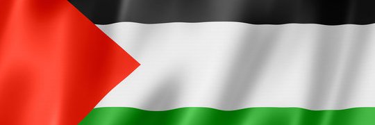 Definitely Donald 🇵🇸#PalestineLives #BDS's banner