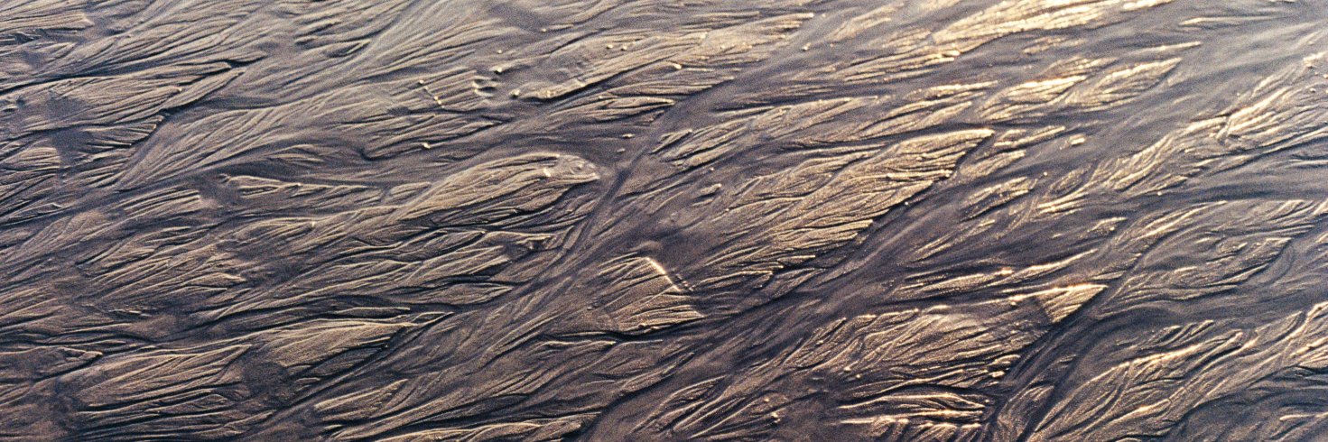 congotronic's profile banner image